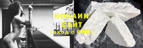 PSILOCYBIN Костерёво