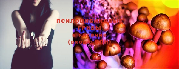 mix Корсаков