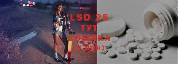 PSILOCYBIN Костерёво