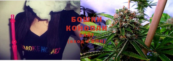 PSILOCYBIN Костерёво