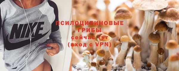 PSILOCYBIN Костерёво