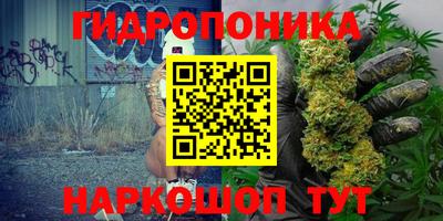 стафф Пенза