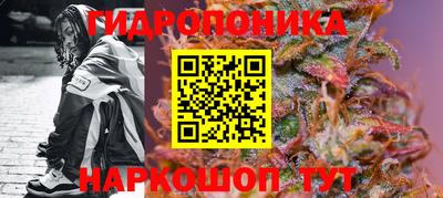 стафф Пенза