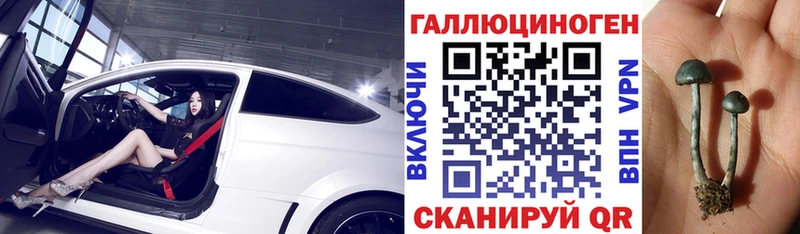 Галлюциногенные грибы Psilocybe  дарнет шоп  Ярославль 